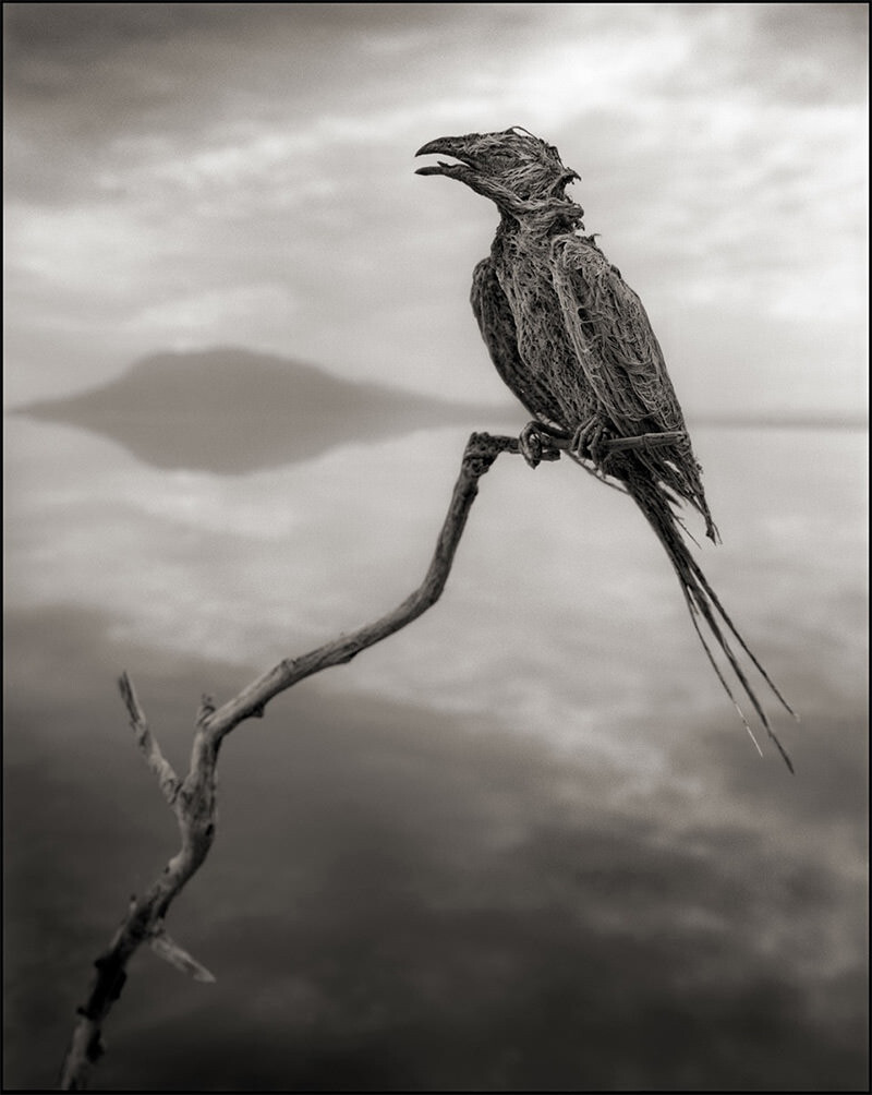 Nick Brandt Narton lake 2