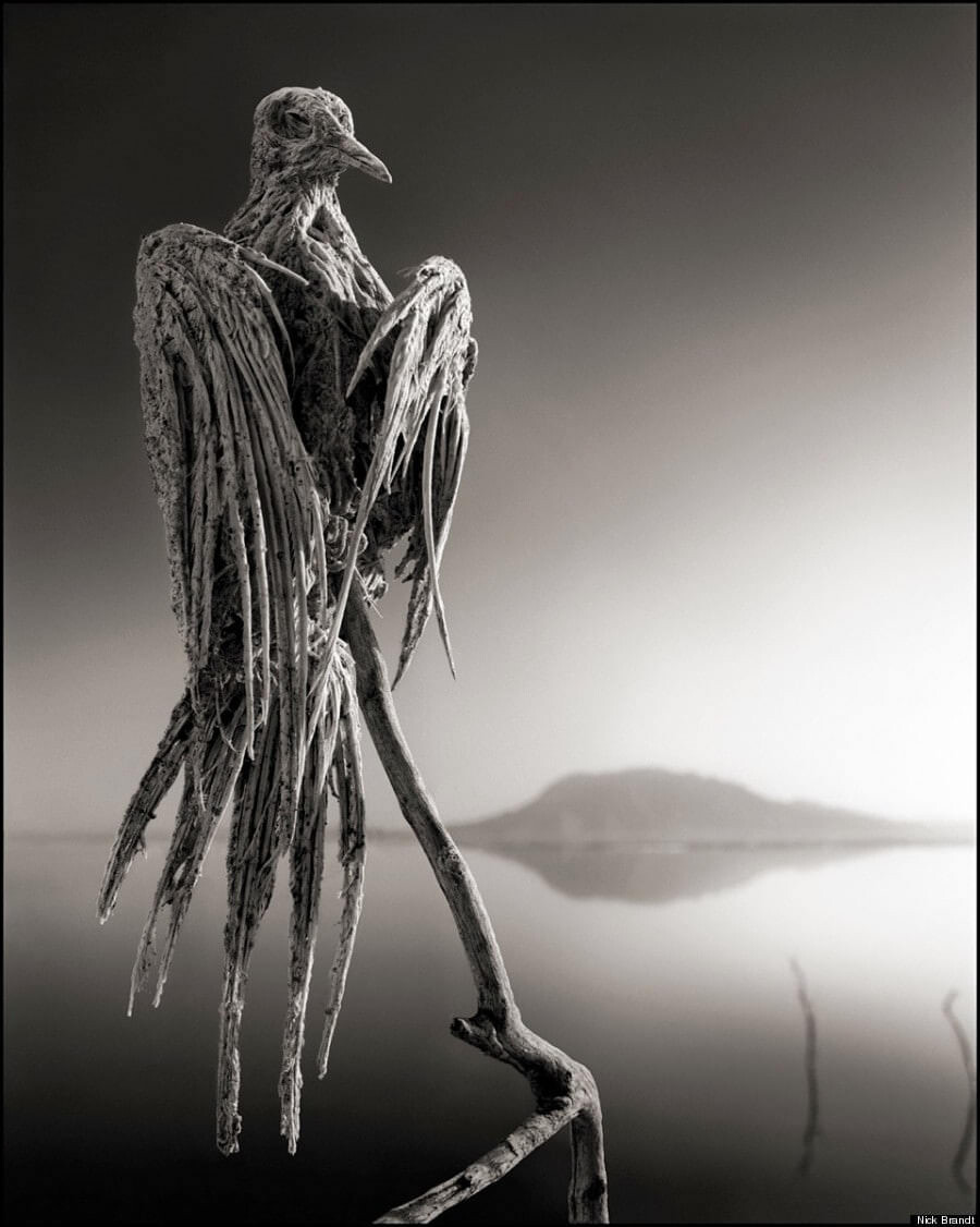 Nick Brandt Narton lake 4