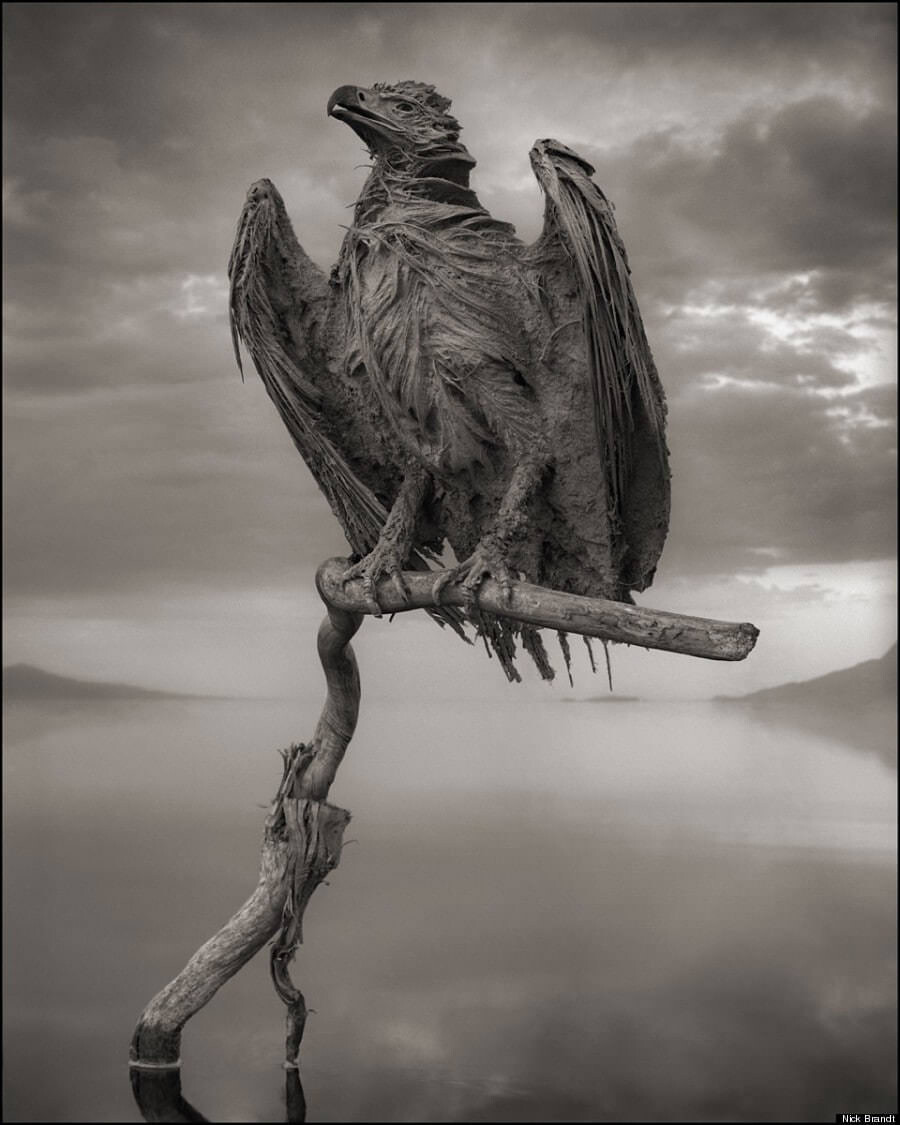 Nick Brandt Narton lake 5