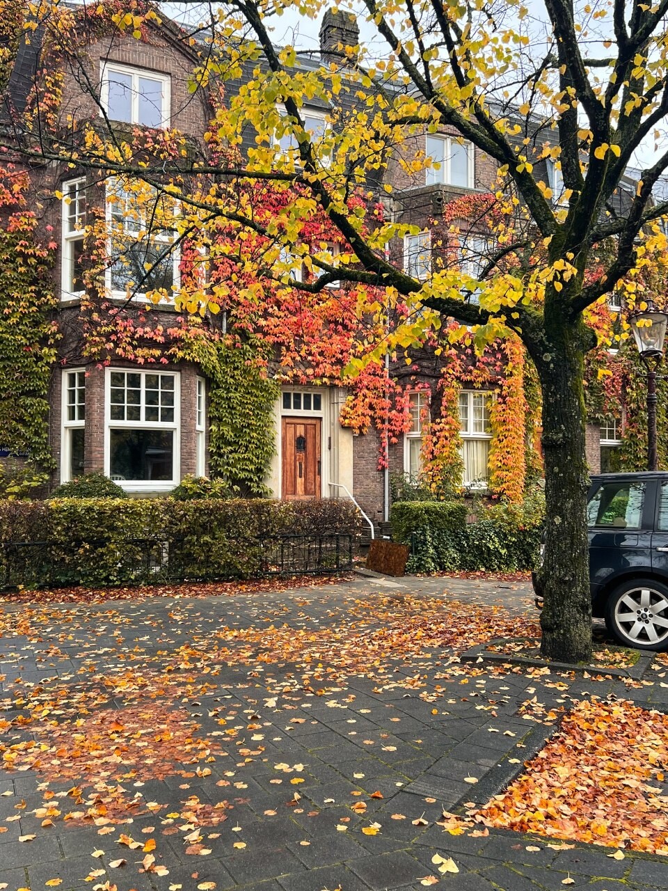 autumn Amsterdam 5