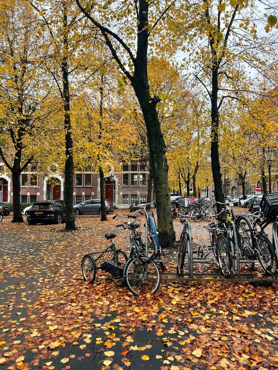autumn Amsterdam 6