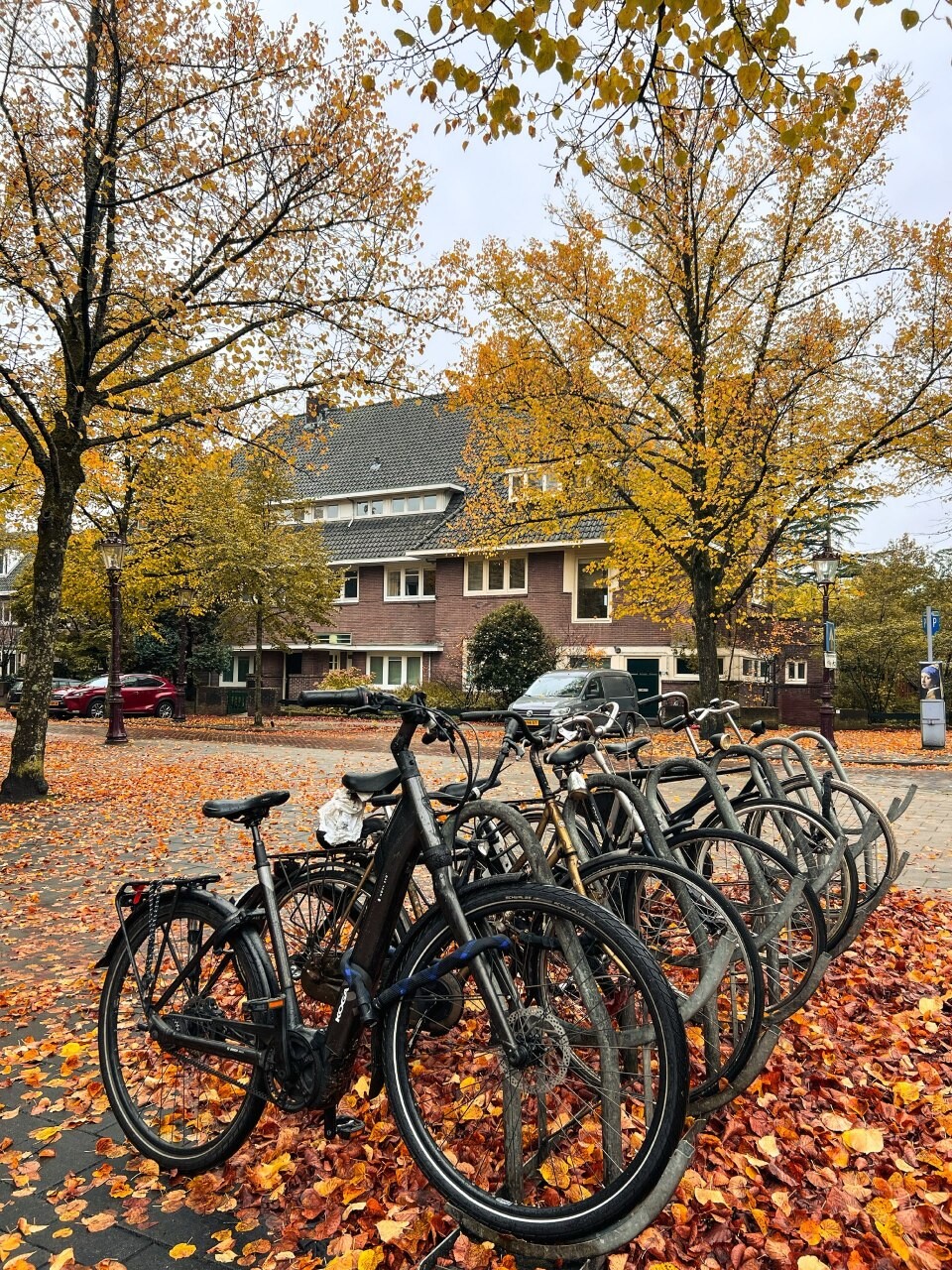 autumn Amsterdam 7