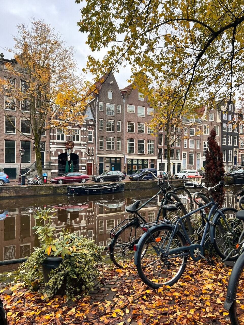 autumn Amsterdam 8