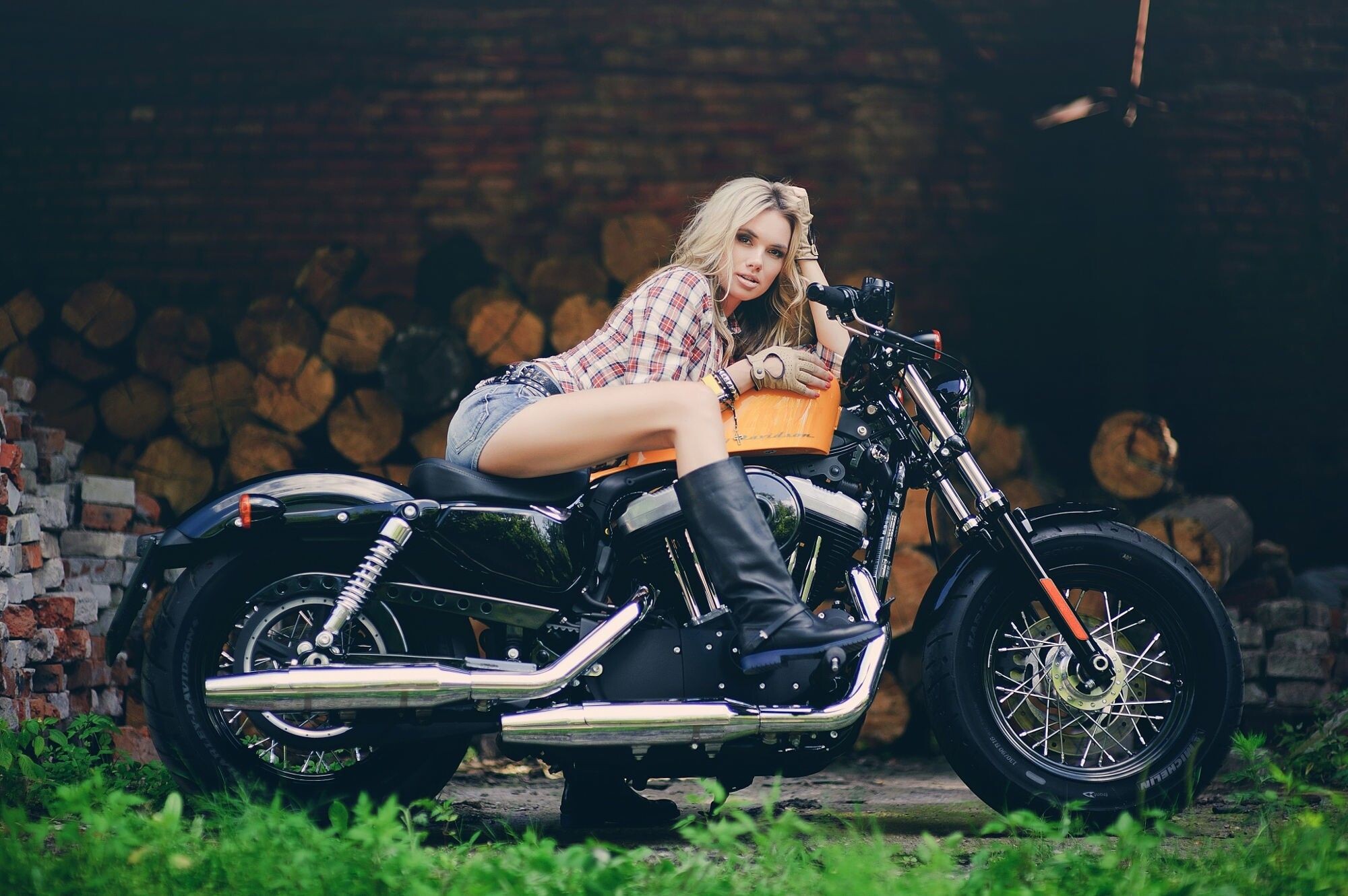 Harley Davidson 1