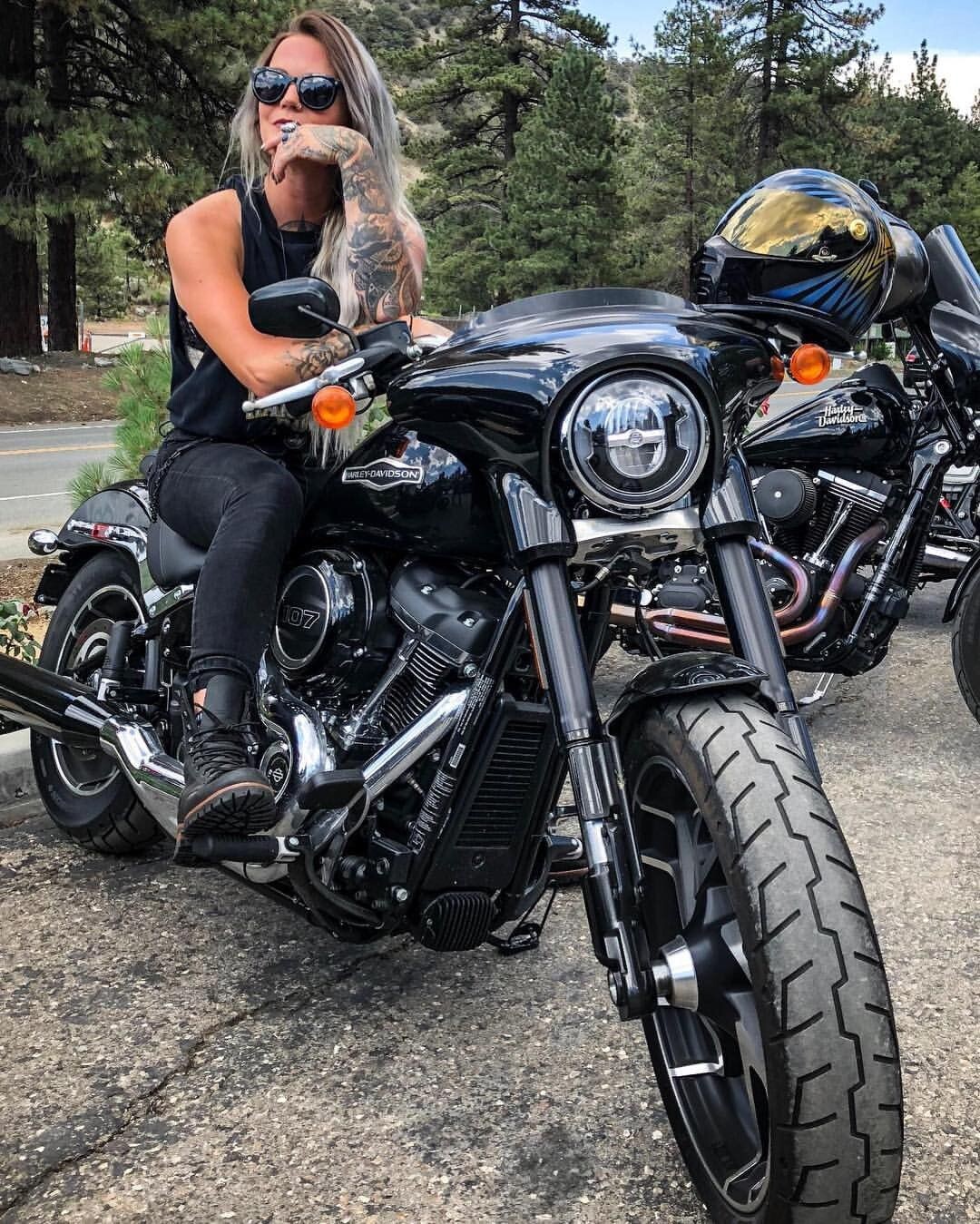 Harley Davidson 3