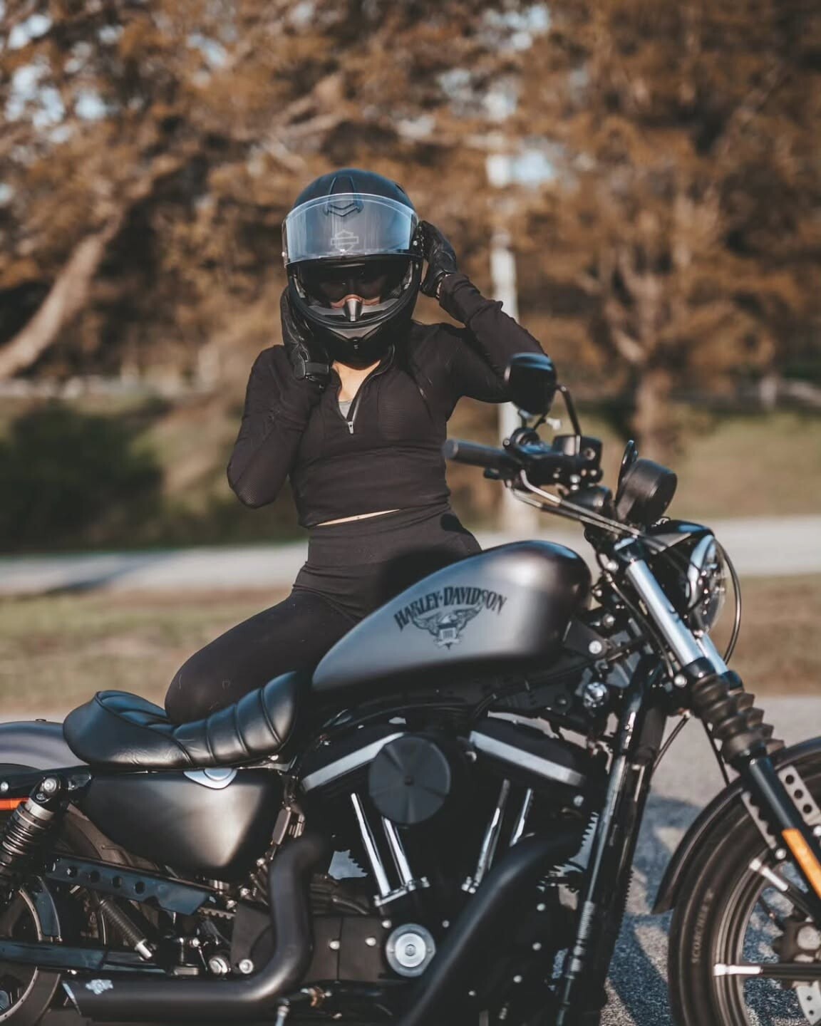 Harley Davidson 6