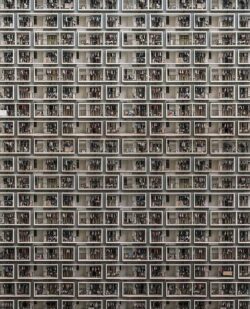 human collars in China