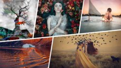 The Magic of the snapshot: the secrets of artistic photography