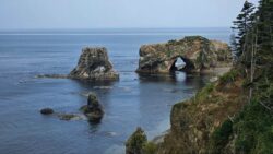 (Giant) Bird Cape in Sakhalin