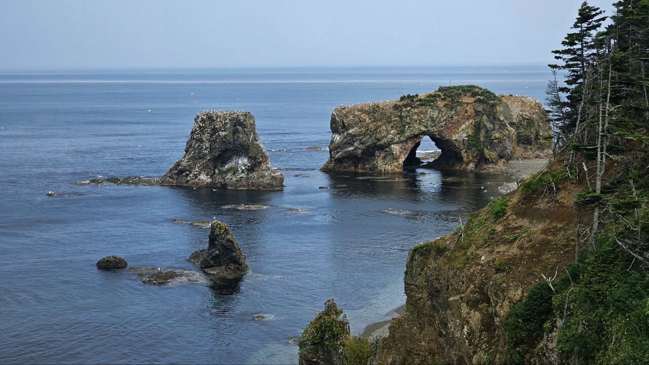 (Giant) Bird Cape in Sakhalin