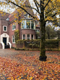 autumn Amsterdam